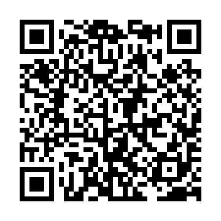 QR code for LFV290