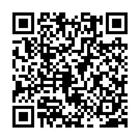 QR code for LFZ2009