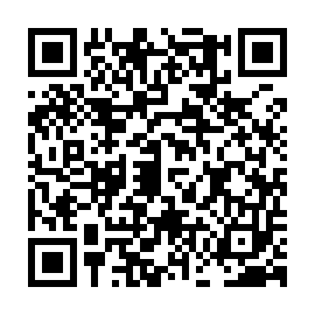 QR code for LGI9533
