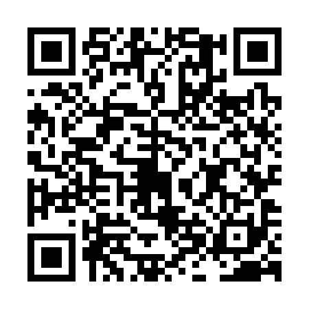 QR code for LHO3919