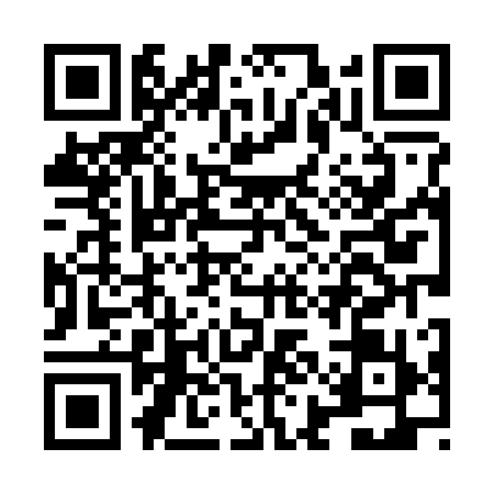 QR code for LIL2196
