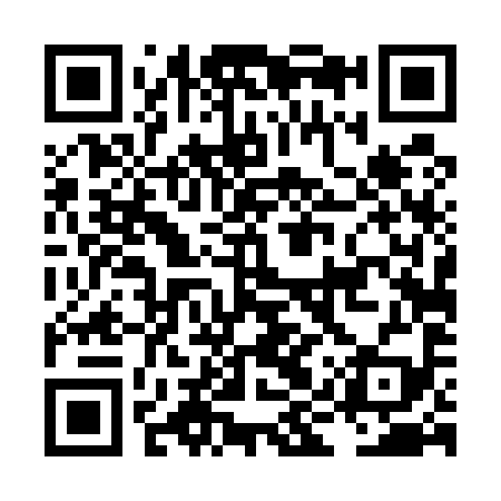 QR code for LIT599