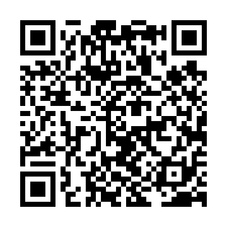 QR code for LIT611