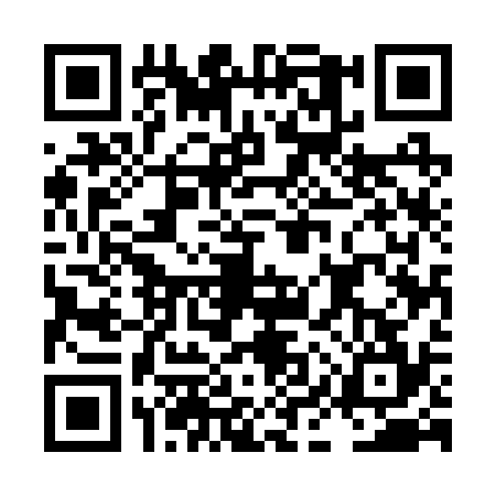 QR code for LIU2341