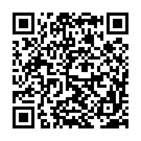 QR code for LIZ596