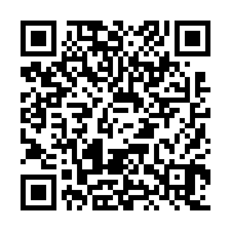 QR code for LIZ600