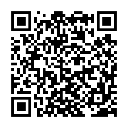 QR code for LIZ616