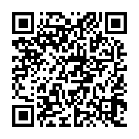 QR code for LJN919