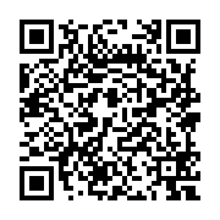QR code for LJY9993