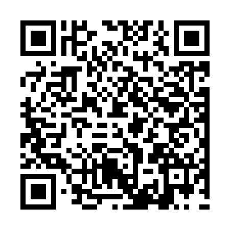 QR code for LKW9729