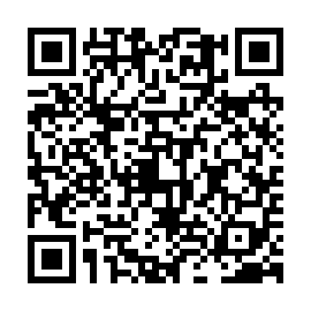 QR code for LLC2595