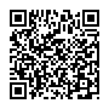 QR code for LLZ0411