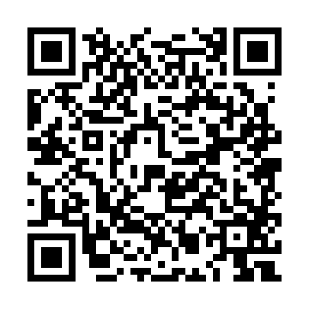 QR code for LMP3866