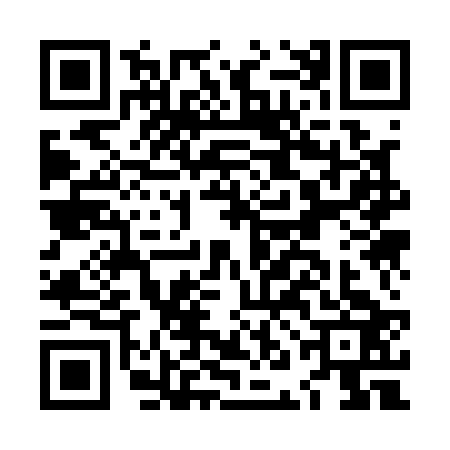 QR code for LNK1239