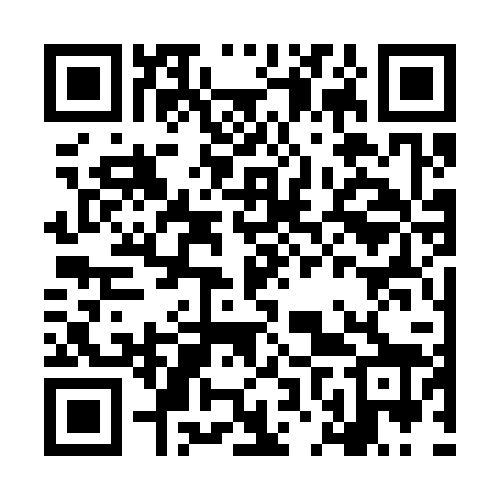 QR code for LNS328