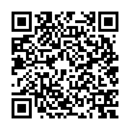 QR code for LOW6347