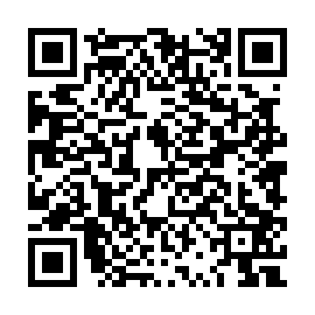 QR code for LRD0038