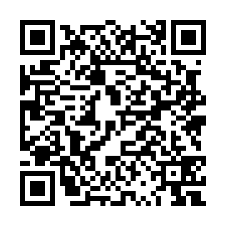 QR code for LRM0391