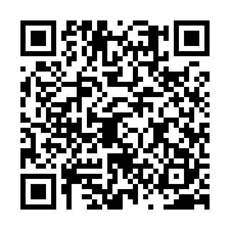 QR code for LSI9229
