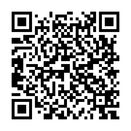 QR code for LSQ919