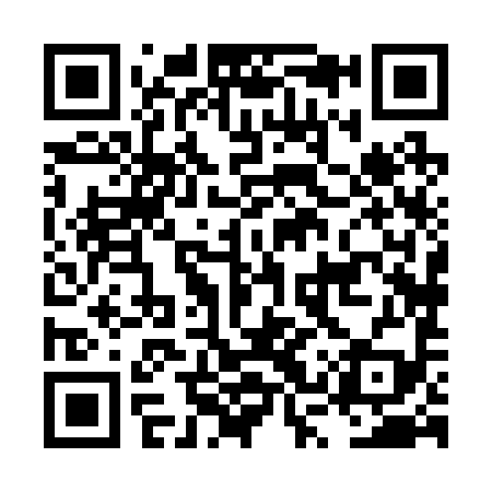 QR code for LSX299