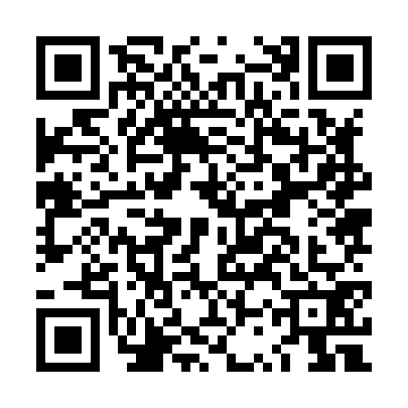QR code for LSZ8729