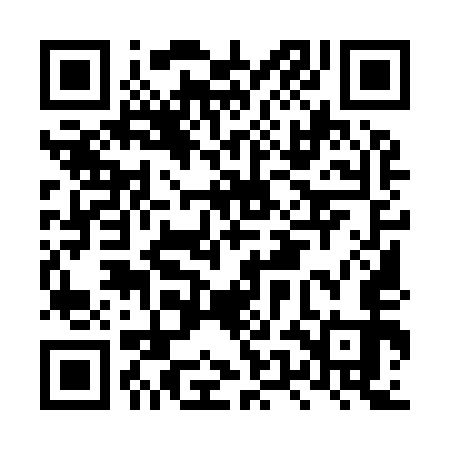 QR code for LUM953