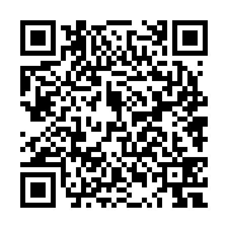 QR code for LUN2395