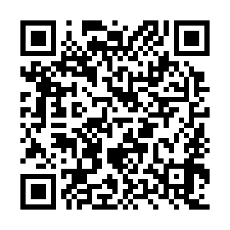 QR code for LUN399