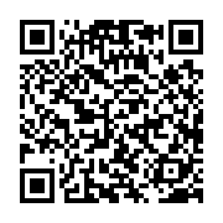 QR code for LUP728