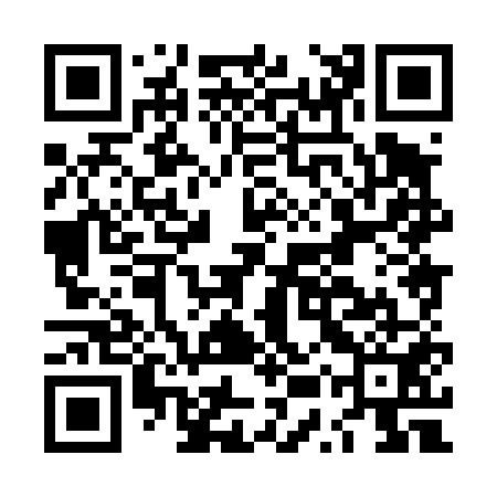 QR code for LUX451