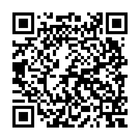 QR code for LUX696