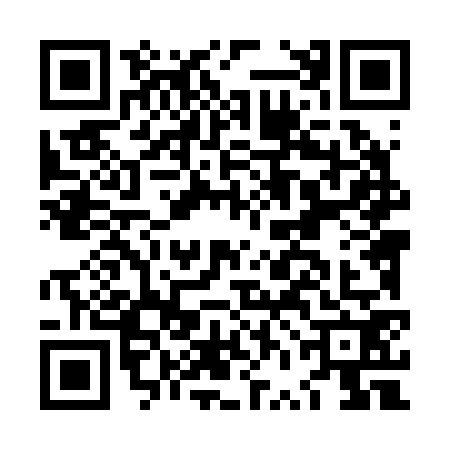 QR code for LVL2729