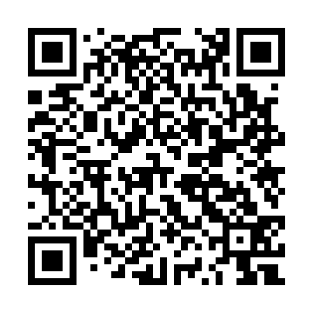 QR code for LVO133