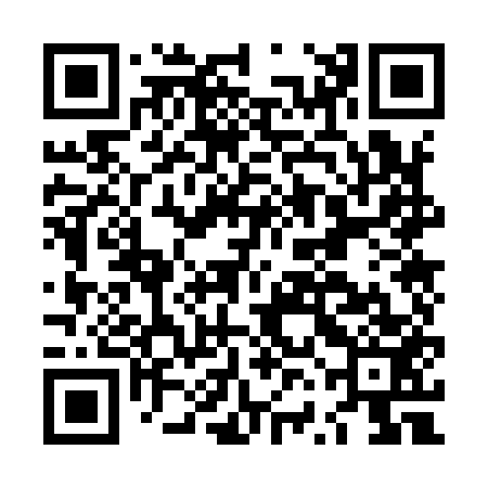 QR code for LVO953