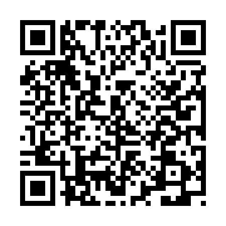 QR code for LYN1919