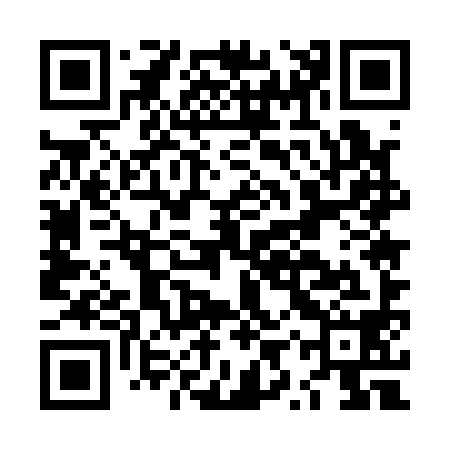 QR code for LYU198