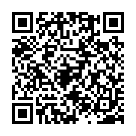 QR code for LZG2937