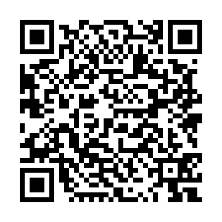 QR code for LZM5313