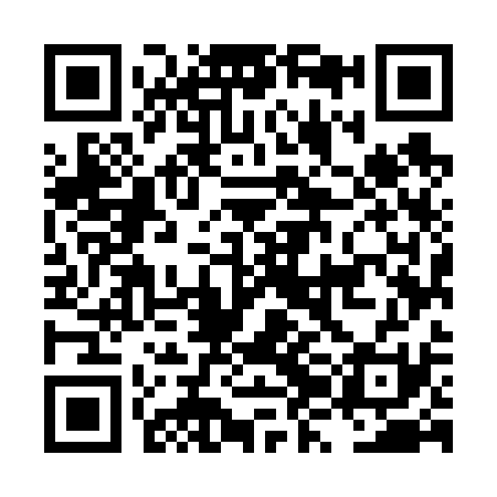 QR code for LZM631