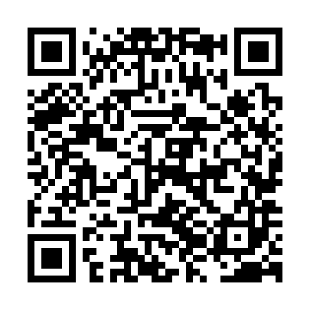 QR code for LZN383