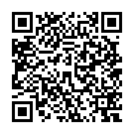 QR code for LZS0596
