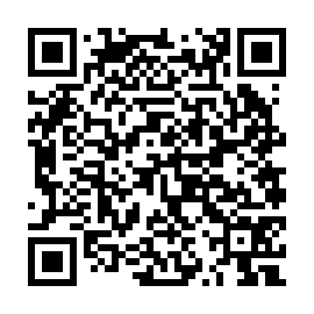 QR code for LZV274