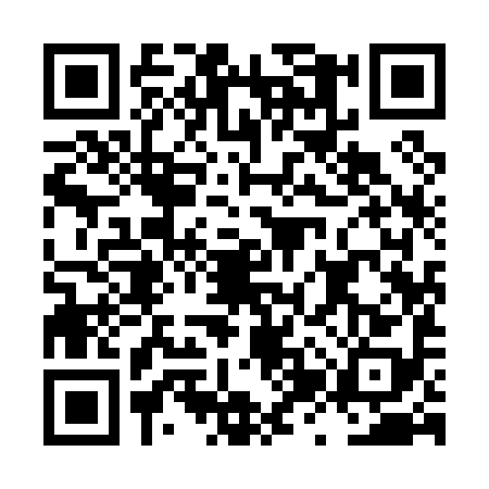 QR code for LZY0982