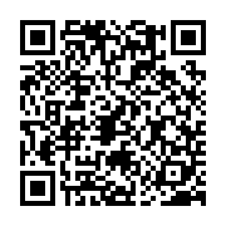 QR code for MAS2482