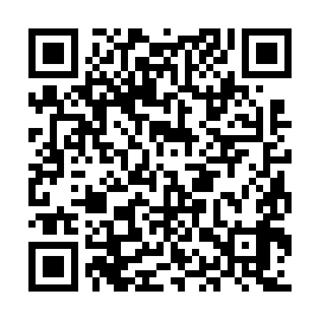 QR code for MAS699