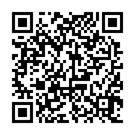 QR code for MAV306
