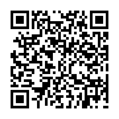 QR code for MCP393