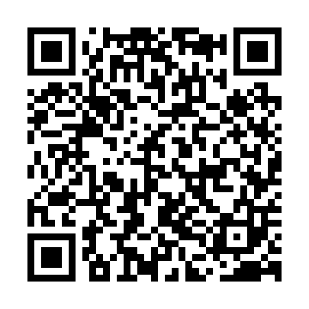 QR code for MDG203