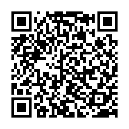 QR code for MDG308